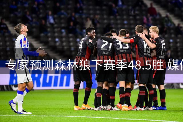 专家预测森林狼下赛季48.5胜 媒体质疑数据过于保守