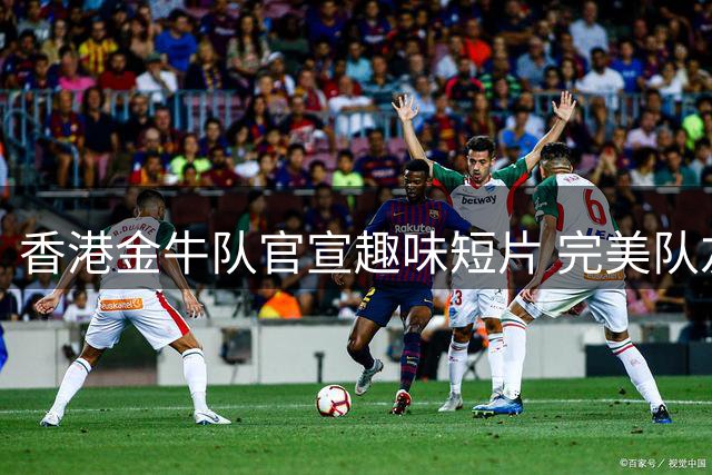 香港金牛队官宣趣味短片 完美队友的另一面引人期待